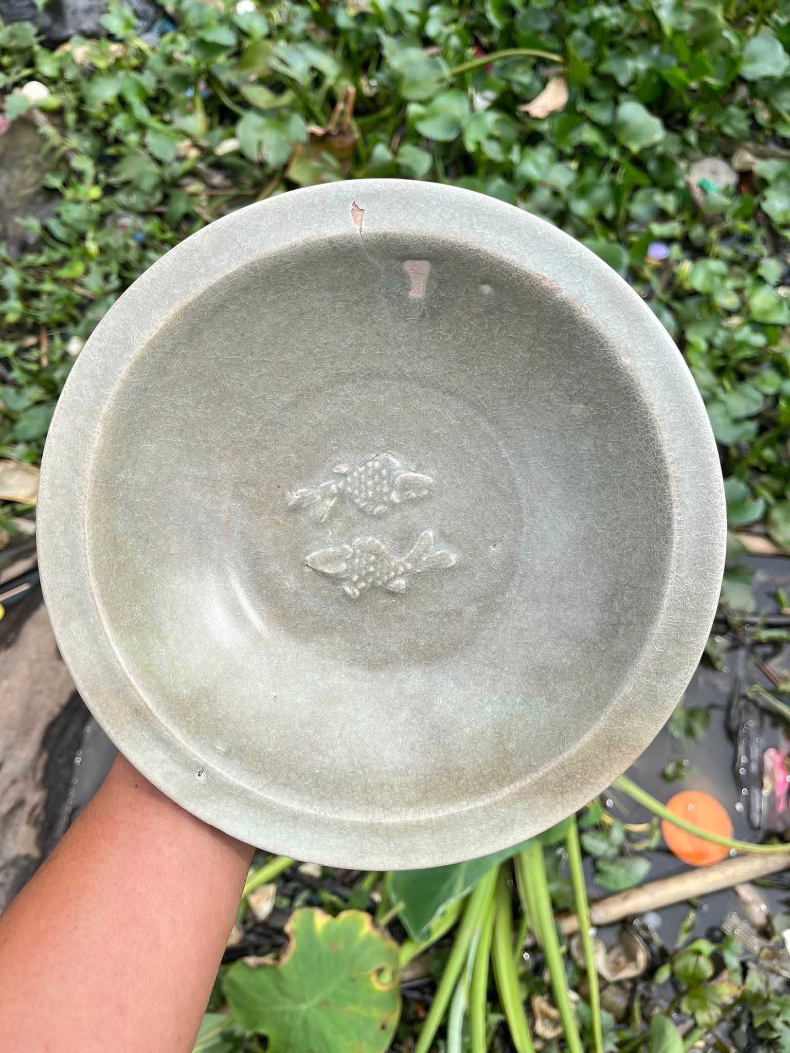 Chinese Porcelain Fish Plate - Estimated Song Dynasty | ArtefactsHunter