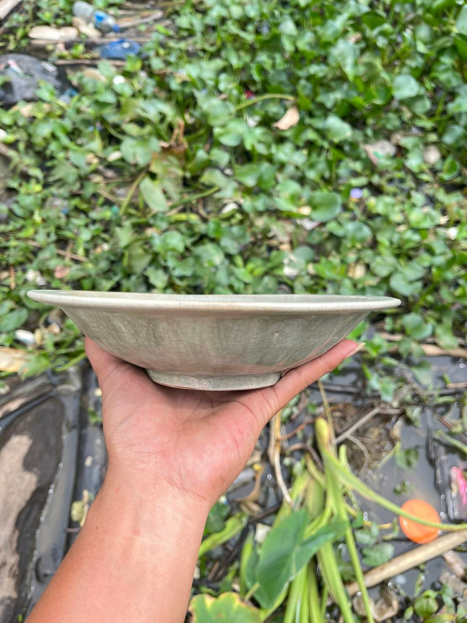 Chinese Porcelain Fish Plate - Estimated Song Dynasty | ArtefactsHunter