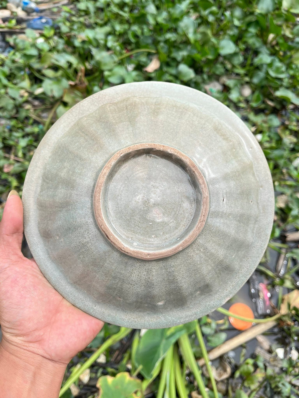 Chinese Porcelain Fish Plate - Estimated Song Dynasty | ArtefactsHunter