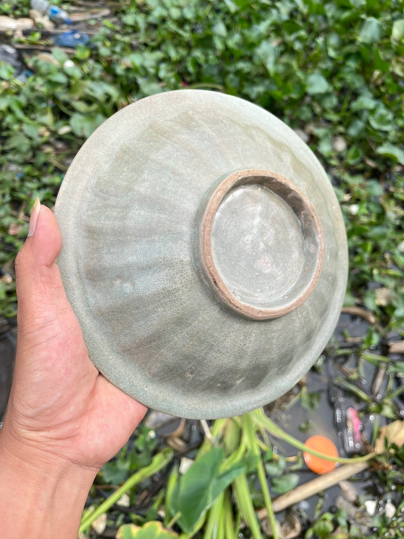 Chinese Porcelain Fish Plate - Estimated Song Dynasty | ArtefactsHunter