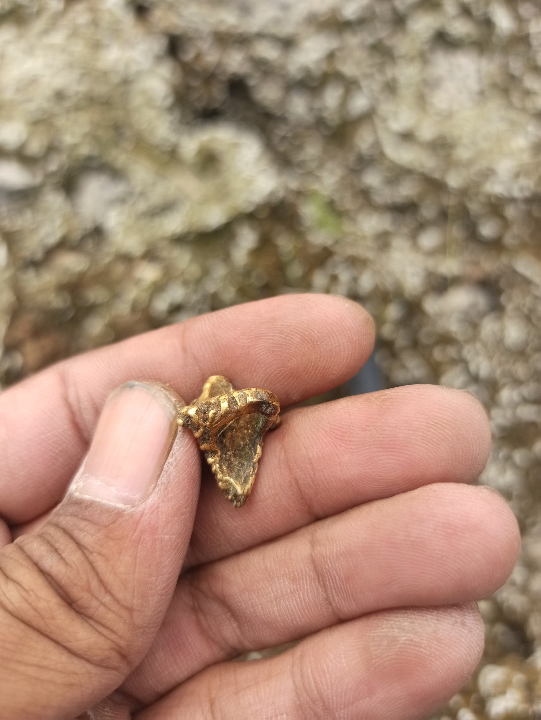 Early Majapahit Gold Earpiece | 2023 River Finds