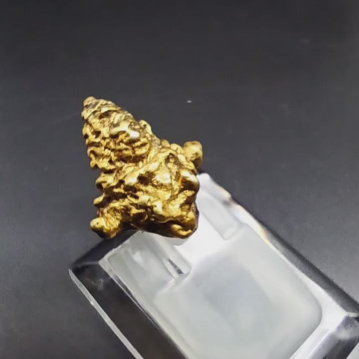 Early Majapahit Gold Earpiece | 2023 River Finds